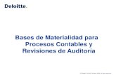 Bases de Materialidad para Procesos Contables y Revisiones de … Seminario Quito/2 ECUADOR... · 2017-09-04 · marco de referencia para determinar la materialidad en la auditoría