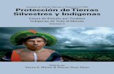 Consejo de Tierras Nativas y Silvestres (CTNS) Protección ... · asociaciones con pueblos indígenas. Esto comenzó en los años 60 y 70 cuando empezamos con los Zulúes y otros