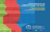 ENTENDIMIENTO DE FENÓMENOS AMBIENTALES MEDIANTE …cdiac.manizales.unal.edu.co/inicio/publicaciones/publicacion2.pdf · Agradecimientos Los editores y el equipo de investigación