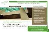 EL VALOR DE NUESTRA MADERA - Bosques Naturalesbosquesnaturales.com/wp-content/uploads/2015/12/NL-diciembre-20… · El PMR avanza de manera firme: más de la mitad de los árboles