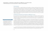 Pequeña y mediana empresa en México: condiciones, relevancia …economia.unam.mx/assets/pdfs/econunam/2/06EnriqueDussel.pdf · 2013-06-05 · 66 En el marco de las políticas orientadas