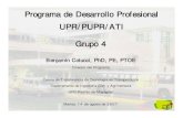 Programa de Desarrollo Profesional UPPP IPR/PUPR/ATI Grupo 4uprati.uprm.edu/gallery/presentations/reunion.14.ago.07.pdf · Coordinador del Programa UPR/PUPR/ATI Departamento de Ingeniería