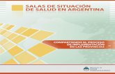 SalaS de Situación de Salud en argentina€¦ · mismo objetivo se realizó en agosto de 2010 el primer “taller nacional de implementación de salas de situación de salud”,