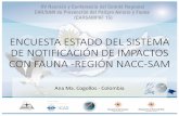 Presentación de PowerPoint · Cogollos - Colombia • Edición 2017 • Envío estados: noviembre de 2017 • Mecanismo web • Incluyo formato digital par estadísticas • 13 estados