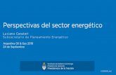 Perspectivas del sector energético - Argentina · Biocombustibles 2% Petróleo y derivados 28% Carbón 2% Contexto: Ofertaenergética2018 2 Oferta Interna Total % % Matriz generación