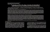 et522 Flores-Ortega et al. Ecología trófica de siete batoideos en el Pacífico central mexicano del sexo de los organismos, las clases de talla (Bizzarro etal. 2007, Lopez-Lopez