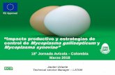 Presentación de PowerPoint - FENAVI · de MG y MS en gallinas de postura comercial y el control mediante antibióticos. • Comparar la efectividad en parámetros productivos de