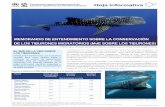 Convención sobre la conservación de especies migratorias de … · 2015-09-30 · Signatarios del MdE sobre los tiburones El Plan de Conservación del MdE de la CMS sobre los tiburones