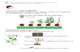 PARTES DE LAS PLANTAS · 2020-04-13 · actividades de las plantas( contar, partes, puzzles) ce i p “ l ui s ro s a l e s ” a ul a p t t e ma a da p t a do “ l a s p l a nt