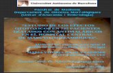 Estudio de los efectos ototóxicos - UAB Barcelona · I.8. Antimaláricos y ototoxicidad 30 Reversibilidad de la hipoacusia provocada por antimaláricos 32 Resistencia del Plasmodio