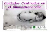 Cuidados Centrados en el Neurodesarrollo · CUIDADO POSTURAL •El recién nacido prematuro no ha tenido la oportunidad de desarrollar la flexión fisiológica que ocurre en el último