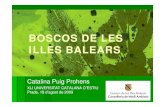 Boscos de les Illes Balears [Modalitat compatibilitat] · L’espai forestal balear Dades IFN III (1997Dades IFN III (1997--2006) 2006) DDelimitació administrativa de l’espai forestal