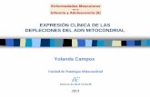EXPRESIÓN CLÍNICA DE LAS DEPLECIONES DEL ADN …gustavolorenzo.es/conferencias/enfer/2013/m5c1.pdf · 2014-02-16 · Modulación nutricional: fórmulas enriquecidas (triglicéridos