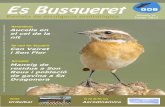 Grup Balear d'Ornitologia i Defensa de la Naturalesa (GOB … · 2013-11-17 · Revista de divulgació ornitològica Tardor 2013 Número 34 Es Busqueret - Publicació trimestral gratuïta