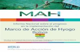 Informe Nacional sobre el progreso en la implementación ...bvpad.indeci.gob.pe/doc/cds/CD_MAH_R/bolivia.pdf · Teléfono : 00 591 2 2430112 Fax : 00 591 2 2430112 Otro punto focal