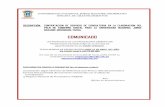 COMUNICADO - UNJBG · 4.8 Sociedad de la Información en el Perú — La Agenda Digital Peruana 2.0. 4.9 Decreto Supremo NO 081-2013-PCM, que aprueba la Politica Nacional de Gobierno