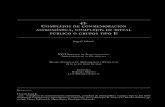 43. c e · Simposio de Investigaciones Arqueológicas en Guatemala, 2012 (editado por B. Arroyo y L. Méndez Salinas), pp. 519-528. Museo Nacional de Arqueología y Etnología, Guatemala.