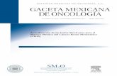 Actualización de las Guías Mexicanas para el …La Gaceta Mexicana de Oncología Volumen 10, Supl. 6 2011, es una publicación bimestral editada por Elsevier Masson Doyma. Insurgentes