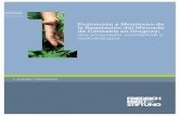 Tabla de contenidosobre los alcances de la implementación de la Ley de regulación de la marihuana” y 2) “Mapeo de actores relevantes para el proceso de regulación del mercado