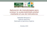 Evaluación de Sustentabilidad - AOA CHILEaoachile.com/wp-content/uploads/2019/11/evaluacion... · indicadores que dan cuenta de la sustentabilidad de sistemas agropecuarios en condiciones