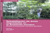 Rehabilitacion de áreas degradadas en la Amazonia …7 Rehabilitación de Æreas degradadas en la Amazonia peruana Revisión de experiencias y lecciones aprendidas La extensión de