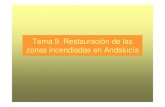 Tema 9. Restauración de las zonas incendiadas en Andalucía · 2012-04-11 · caminos en función de multitud de factores (ejemplo en la savana africana): ... • Daños en las redes