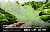 En contexto: Legalización de la marihuana€¦ · Legalización de la marihuana “Una nube de mitos, miedo e ignorancia rodea a la mariguana. ... Presentación 7. 1. Antecedentes