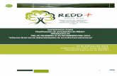 Componente Social Planificación de actividades de REDD+ ...reddcr.go.cr/sites/default/files/centro-de... · Planificación de actividades de REDD+ PRODUCTO #4 DEL 02 DE ENERO al