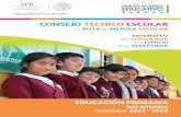 CONSEJO TÉCNICO ESCOLARformacioncontinua.tamaulipas.gob.mx/portal/wp-content/...ciclo escolar 2016-2017. Resultados disponibles tanto de PLANEA Básica 2016 como de evalua - ciones