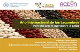 Año Internacional de las Legumbres - ACDYN · Internacional de las Legumbres 2016 es que las legumbres son muy nutritivas: estas pequeñas semillas son ricas en nutrientes y una