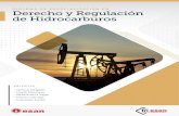 brochure Derecho y regulación de hidrocarburos...2019/09/30  · Gerente de Hidrocarburos de la Sociedad Nacional de Minería, Petróleo y Energía. BEATRIZ DE LA VEGA Socia de Ernst