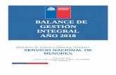 BALANCE DE GESTIÓN INTEGRAL AÑO 2018 › web › wp-content › uploads › 2015 › 10 › BGI-2018... · 2019-04-03 · Gendarmería de Chile atendió el año 2018 una población