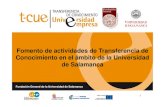 Fomento de actividades de Transferencia de Conocimiento en ... · Fomento de actividades de Transferencia de Conocimiento en el ámbito de la Universidad de Salamanca 1. Consolidación