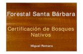 Forestal Santa Bárbara · Forestal Santa Bárbara - Radicada en la Provincia de Salta, Argentina - Propietaria de 97000 ha. distribuidas en 8 UMF (Prov. Salta y Jujuy) localizadas