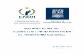 INFORME ESPECIAL SOBRE LOS LINCHAMIENTOS EN EL … · informe especial sobre la problemÁtica de los linchamientos en el territorio nacional ciudad de méxico, 22 de mayo de 2019.