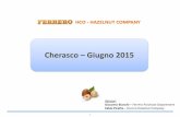 Cherasco Giugno 2015 · MERCATO ITALIANO HCO - HAZELNUT COMPANY ... L’importanza dell’aspetto qualitativo GUSTO TECNOLOGIA QUALITA’ PREMIUM FERRERO VARIETA’ SELEZIONATE SPECIFICHE