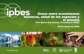 Cruce entre ecosistemas humanos, salud de las especies y ... · Cruce entre ecosistemas humanos, salud de las especies y el planeta Ana Maria Hernandez, Presidenta IPBES 28 de mayo