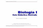 Biología I Guía Didáctica Ilustrada · 6.4 clasificaciÓn de los seres vivos: linneo, r y margulis. 6.5 los dominios naturales: bacterias, ar-quea y eucarya 6.6.1 monera 6.6.3