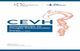 99 02 18 CIRUGIA ENDOVASCULAR 2019 NUEVO programa 21 99 … · Tratamiento de la infección de prótesis endovascular / Treatment of infected Endovascular frafts Dr. NIVARDORODRÍGUEZ.