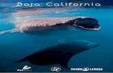 Baja California › ... › BajaCalifornia_2017(1).pdfTIPINAT IAJES SL B-99164246 Agencia de viajes CAA 192 Paseo Independencia 24-26, C.C. Independencia, local 72, 50004 aragoza Baja