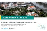 ICLEI AMÉRICA DEL SURnapexpo.org › america-latina › wp-content › uploads › 2018 › 10 › ...Monitoreo de la efectividad Cohesíon Oportunidades Integración de datos y información