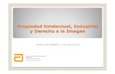 Propiedad Intelectual e Industrial y Derecho a la Imagen ... · Propiedad Industrial (5) Licencias (patrimonializacióndel derecho de propiedad industrial) - El titular de la marca