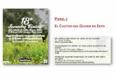 EL CULTIVO DEL OLIVAR EN SETO - Oleoestepa › wp-content › uploads › 2018 › 04 › Vict… · El cultivo del olivar en seto en el mundo D. Jordi Mateu Director Genol Agromiba