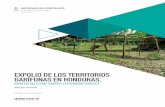 EXPOLIO DE LOS TERRITORIOS GARÍFUNAS EN HONDURAS.€¦ · barreras, que cruza y rebasa fronteras de todo tipo incluyendo las fronteras territoriales, en su dimensión material y