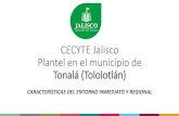 CECYTE Jalisco-Plantel en el municipio de Talagobiernoabiertojalisco.org.mx/sites/default/files/...computadoras, artículos para la decoración de interiores y artículos usados 1.037