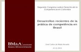 Desarrollos recientes de la Prática de Competência en Brasil · Brazilian Competition Law Background (2) • On the merits, decisions generally follow the approach adopted by more