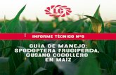 INFORME TÉCNICO Nº6 · Los agricultores necesitan de apoyo a través del manejo integrado de plagas en sus sistemas cultivo para controlarlo de forma sostenible. FAO ˙˝ˆˇ. En