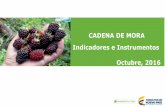 CADENA DE MORA Indicadores e Instrumentos …...2016/10/31  · Área, producción y rendimiento Durante el periodo 2012 -2015, la mora presenta un crecimiento de 18.4% del área sembrada