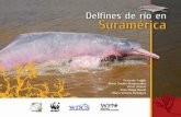Contenido - river dolphinsriver-dolphins.com/wp-content/uploads/2019/01/delfines_rio_suramer… · Estas especies son únicas y si no se toman medidas de manejo adecua- ... Adicionalmente