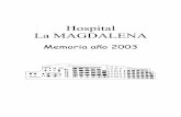 Hospital La MAGDALENA - gva.espublicaciones.san.gva.es › publicaciones › documentos... · Hospital La Magdalena 3.DESCRIPCIÓN Y EVOLUCIÓN HISTÓRICA DEL CENTRO El Hospital La